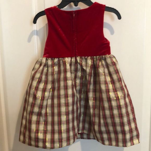 2T Rare Editions Dress - Picture 4 of 6